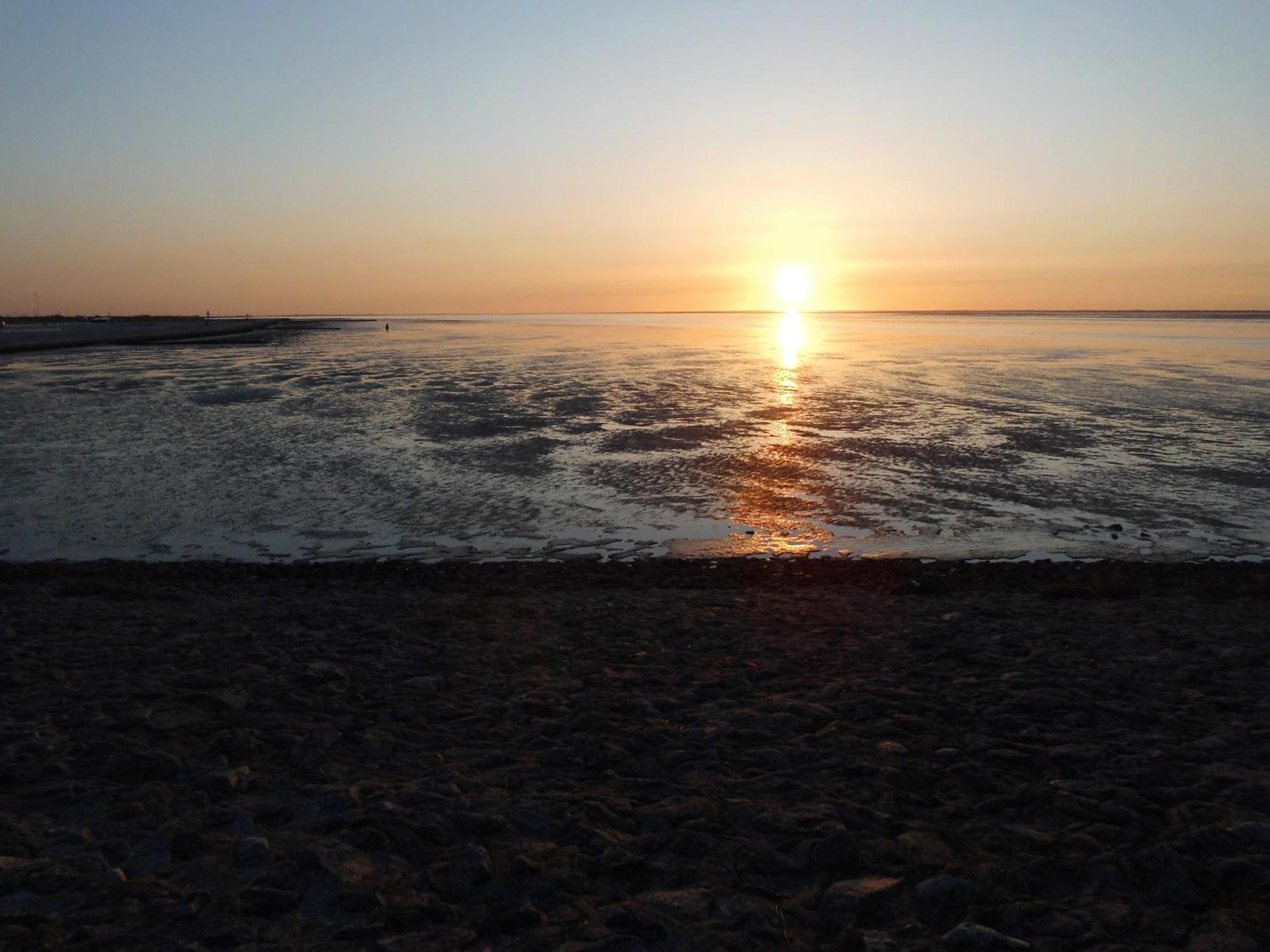 Moewennest Villa Neuharlingersiel Dış mekan fotoğraf