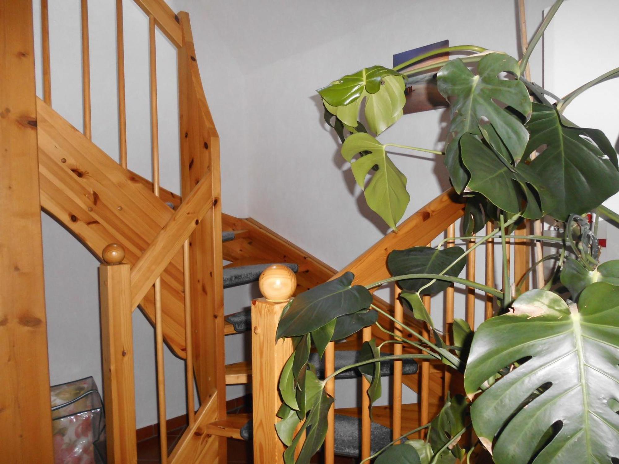 Moewennest Villa Neuharlingersiel Dış mekan fotoğraf