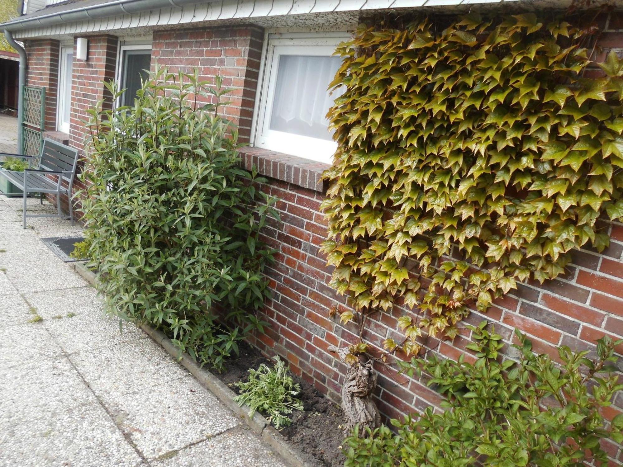Moewennest Villa Neuharlingersiel Dış mekan fotoğraf